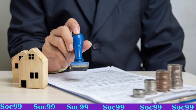 Hệ thống cung cấp công cụ quản lý đơn giản